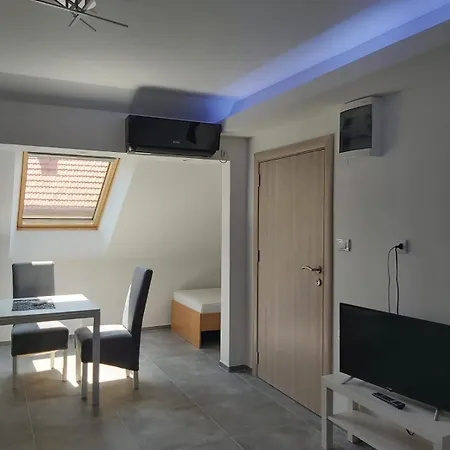Ronic Soko Banja