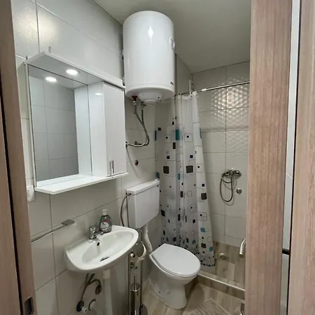 Apartment Ronic Soko Banja